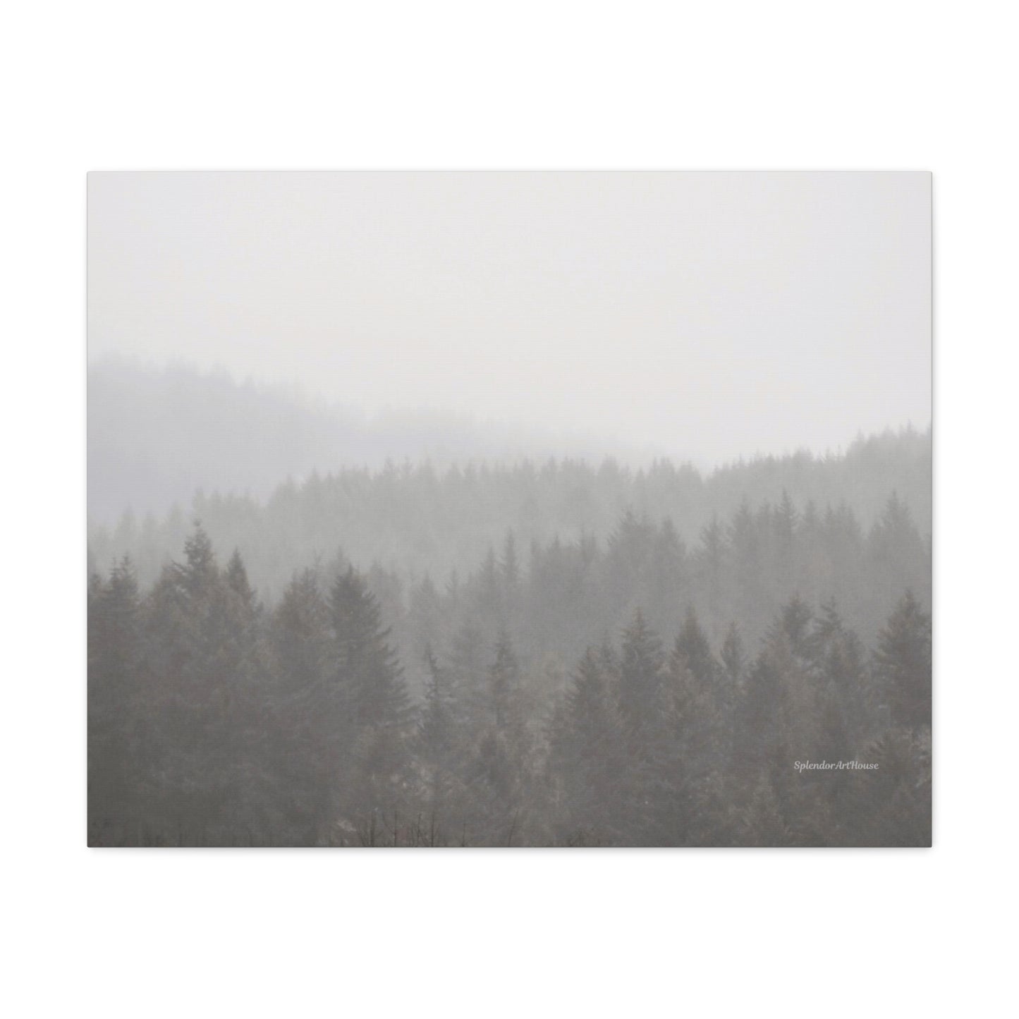 Forest, Matte Canvas, Stretched, 1.25"