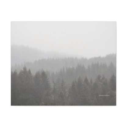 Forest, Matte Canvas, Stretched, 1.25"