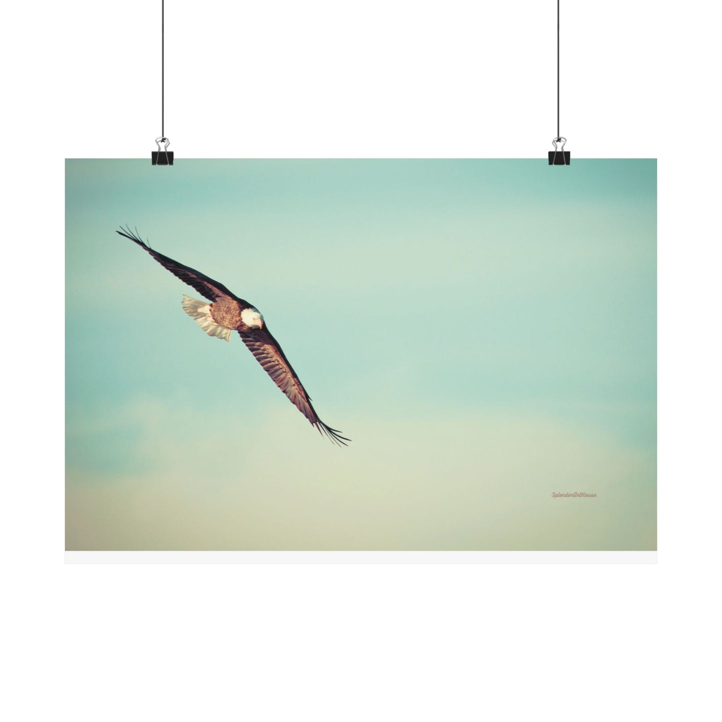 Bird, Matte Horizontal Poster