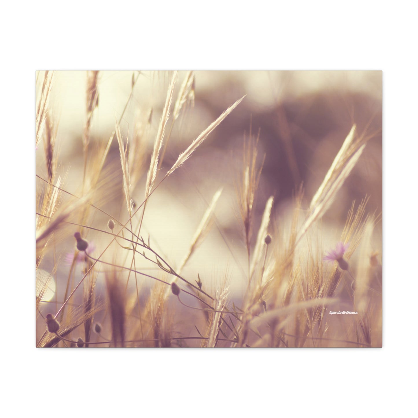 Grass, Matte Canvas, Stretched, 1.25"