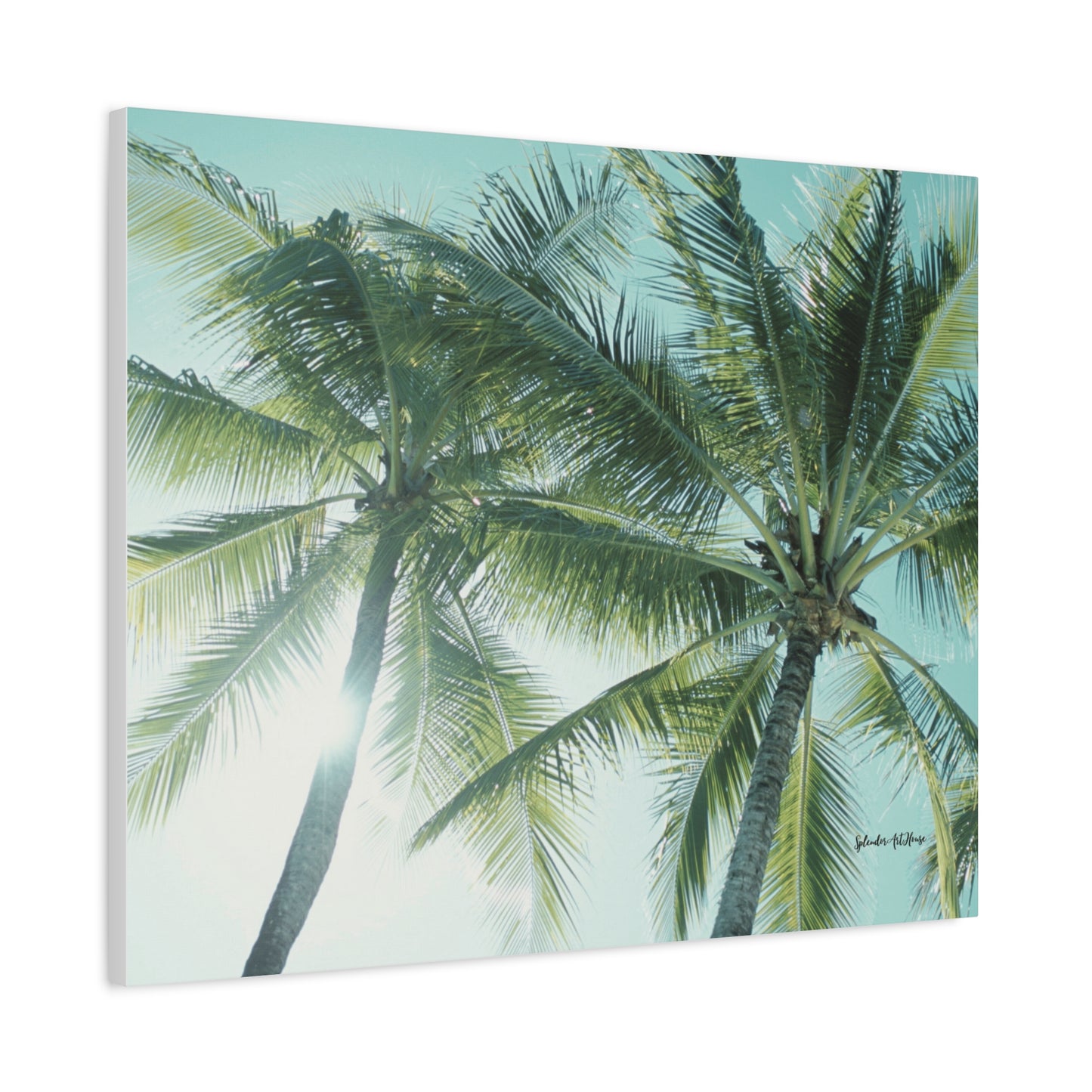 Palm Trees, Matte Canvas, Stretched, 1.25"