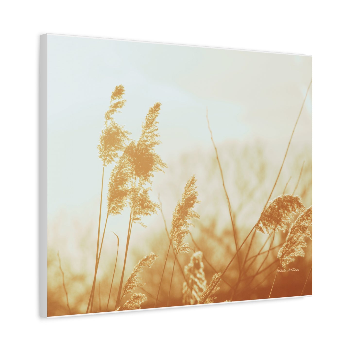 Grass, Matte Canvas, Stretched, 1.25"