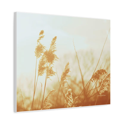 Grass, Matte Canvas, Stretched, 1.25"