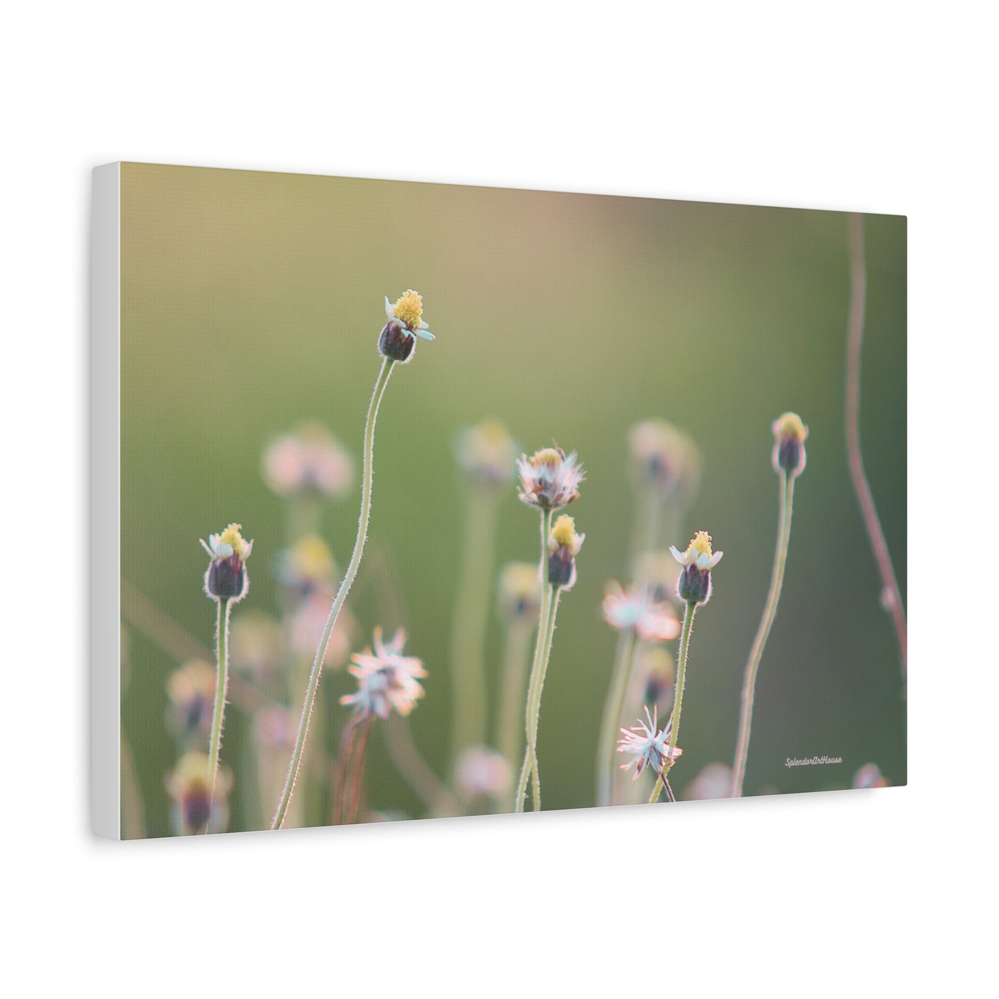 Floral, Matte Canvas, Stretched, 1.25"