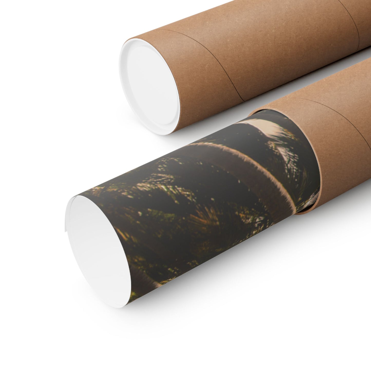 Palm Trees, Matte Horizontal Poster