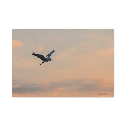 Bird, Matte Canvas, Stretched, 1.25"