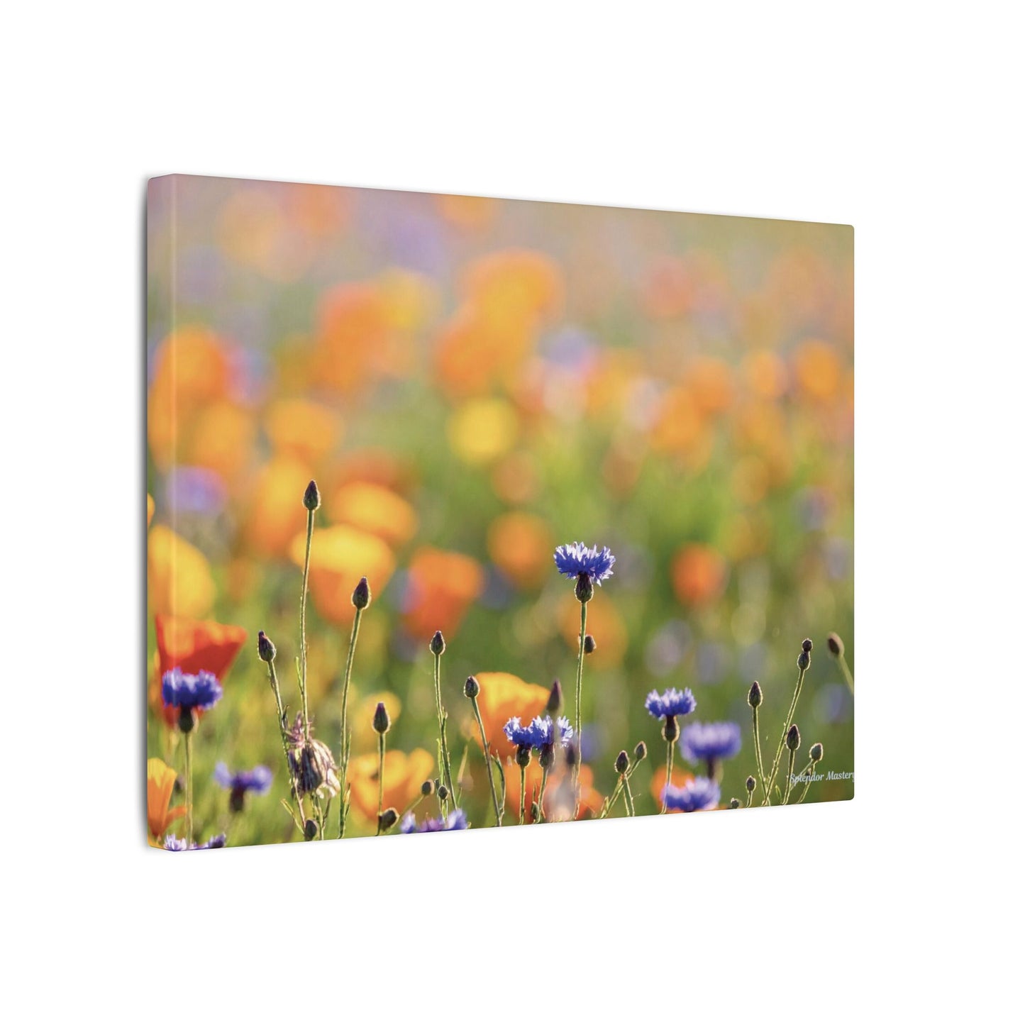 Floral, Matte Canvas, Stretched, 0.75"