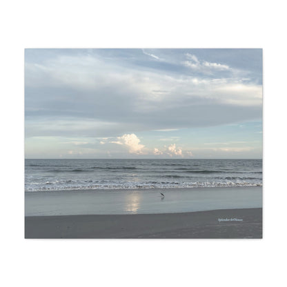 Ocean, Matte Canvas, Stretched, 1.25"