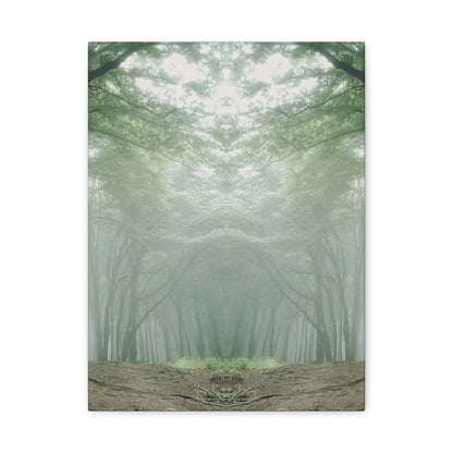 Forest, Matte Canvas, Stretched, 1.25"