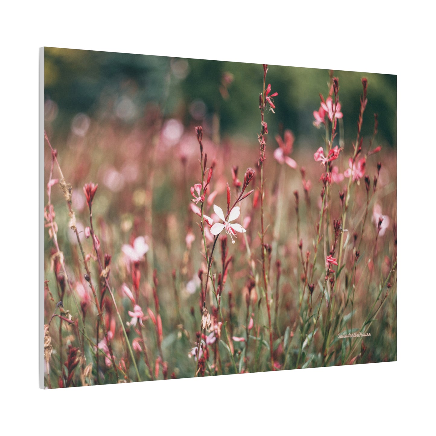 Floral, Matte Canvas, Stretched, 1.25"