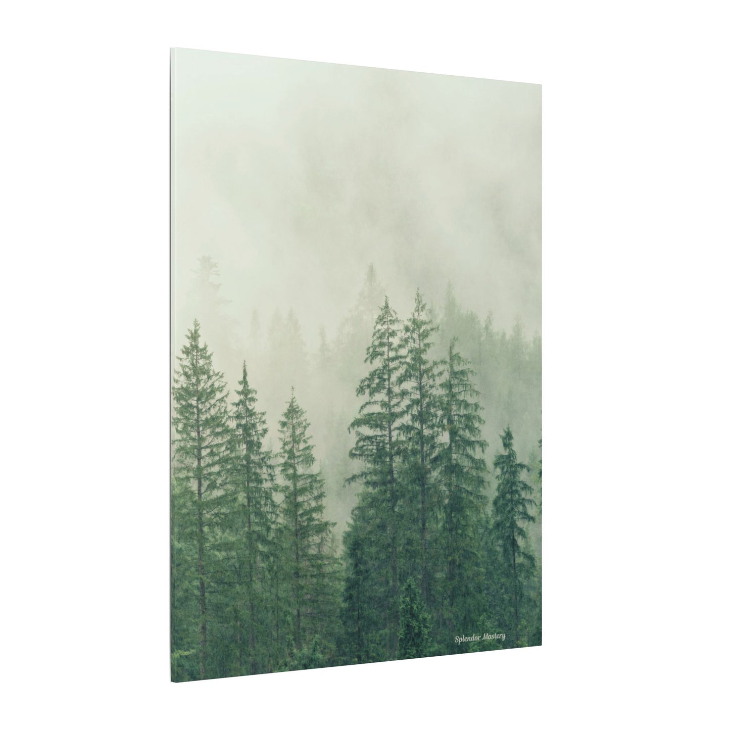 Forest Trees, Matte Canvas, Stretched, 0.75"
