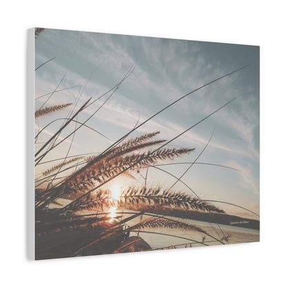 Grass, Matte Canvas, Stretched, 1.25"