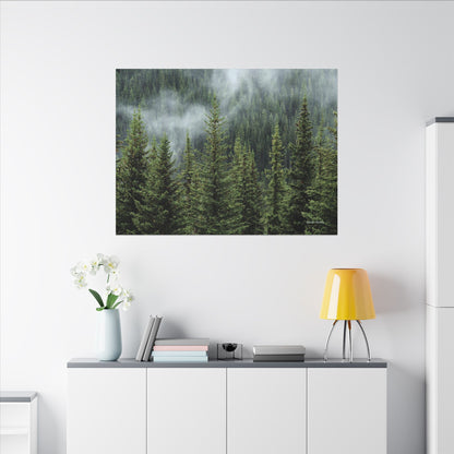 Trees, Matte Canvas, Stretched, 0.75"