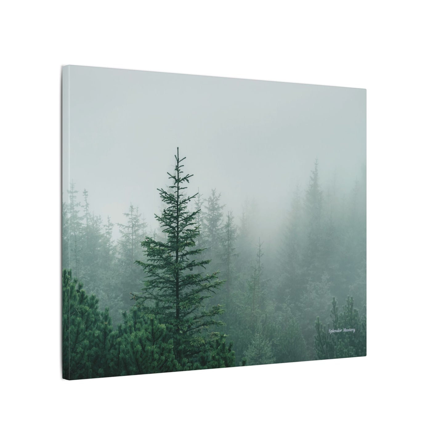 Forest Trees, Matte Canvas, Stretched, 0.75"