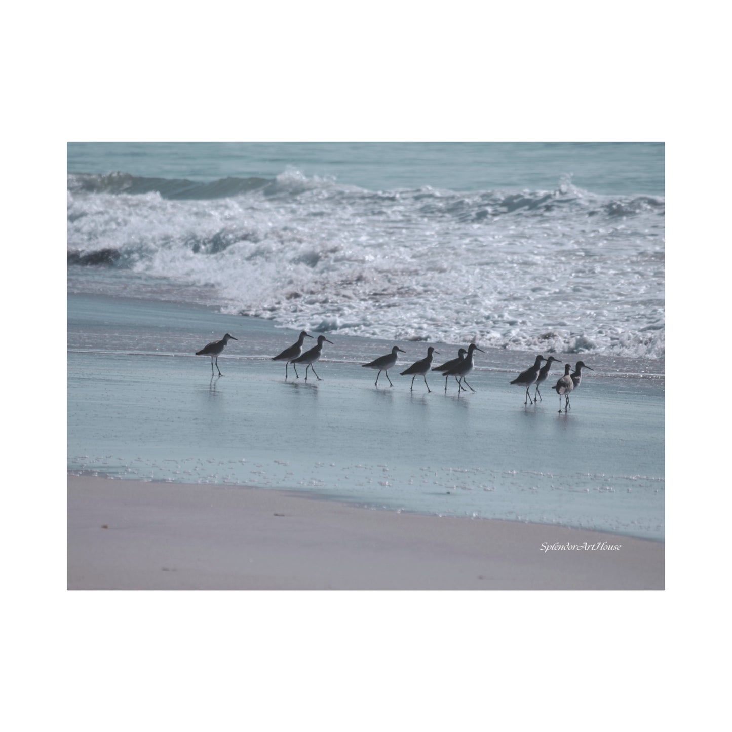 Birds, Matte Canvas, Stretched, 1.25"