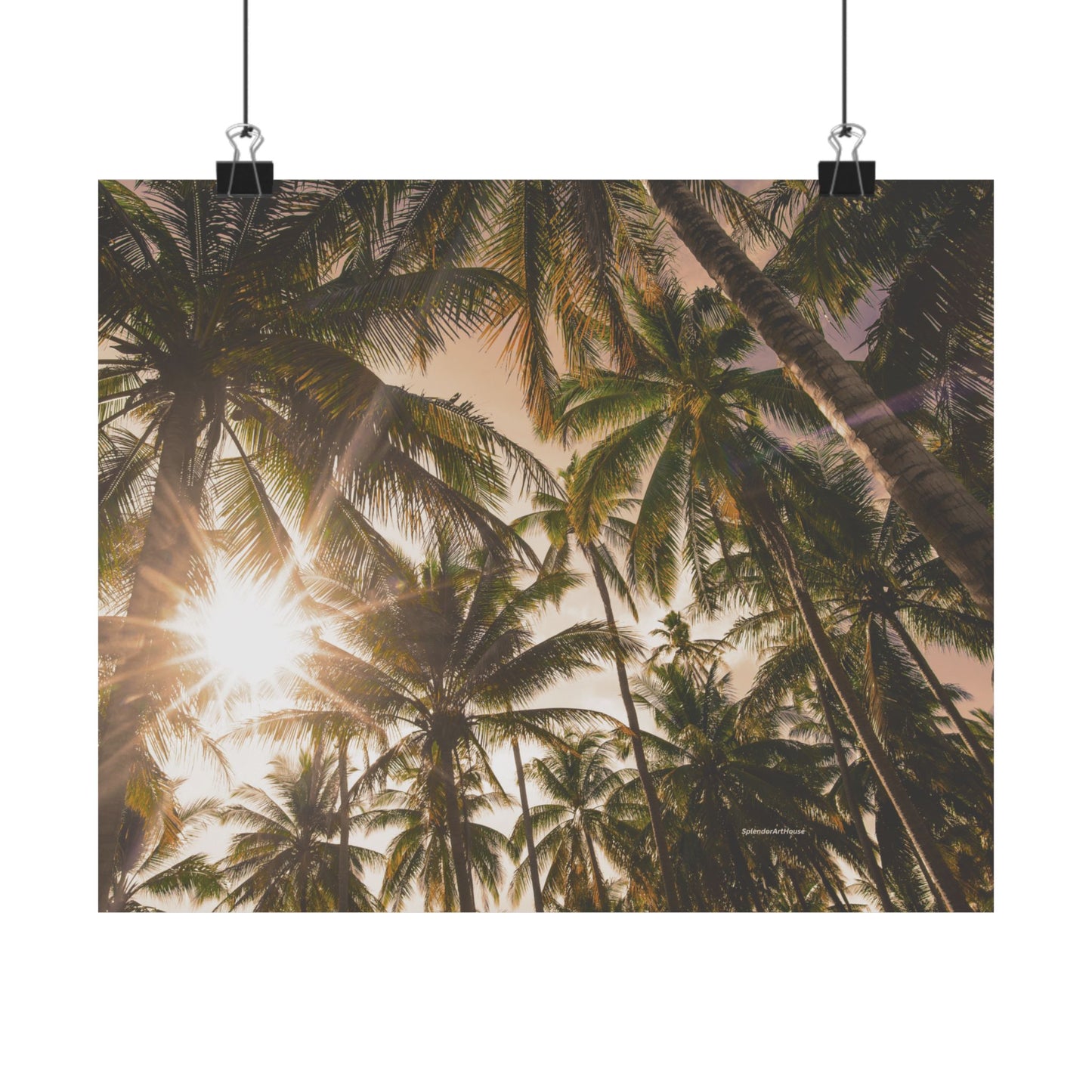 Palm Trees, Matte Horizontal Poster