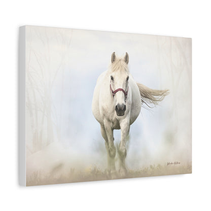 Horse, Matte Canvas, Stretched, 1.25"