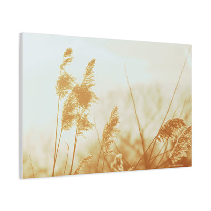 Grass, Matte Canvas, Stretched, 1.25"