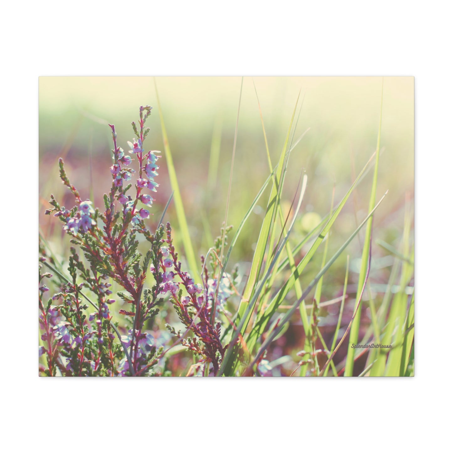 Floral, Matte Canvas, Stretched, 1.25"