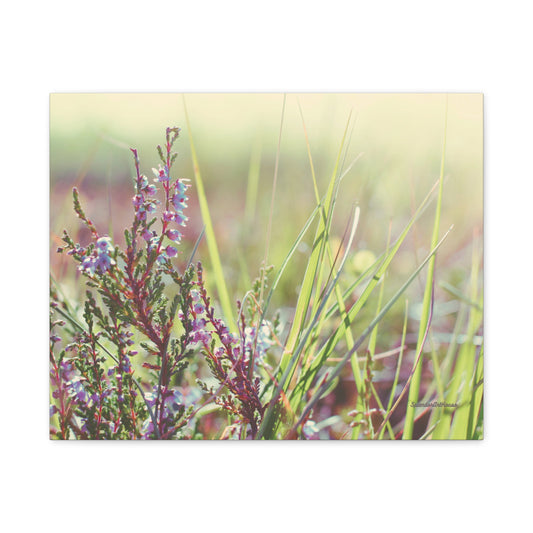 Floral, Matte Canvas, Stretched, 1.25"