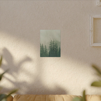 Forest Trees, Matte Canvas, Stretched, 0.75"