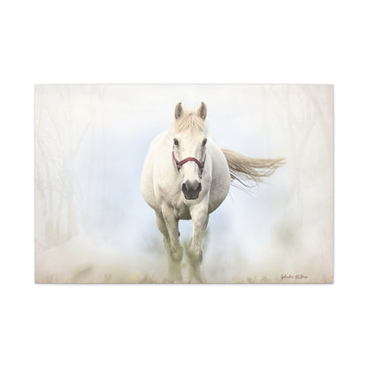 Horse, Matte Canvas, Stretched, 1.25"