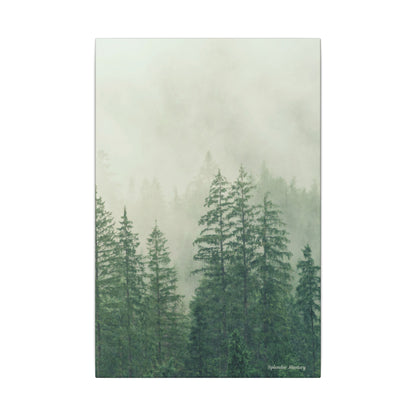 Forest Trees, Matte Canvas, Stretched, 0.75"