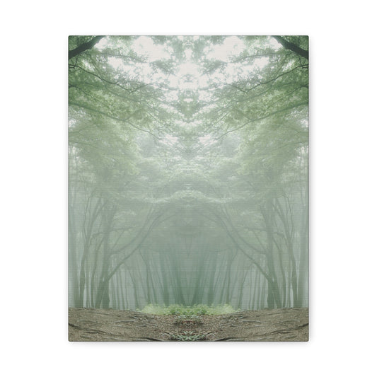 Forest, Matte Canvas, Stretched, 1.25"