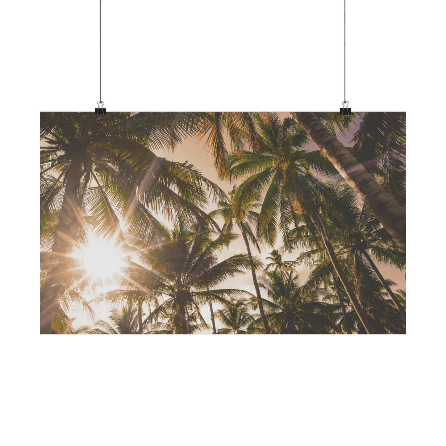 Palm Trees, Matte Horizontal Poster