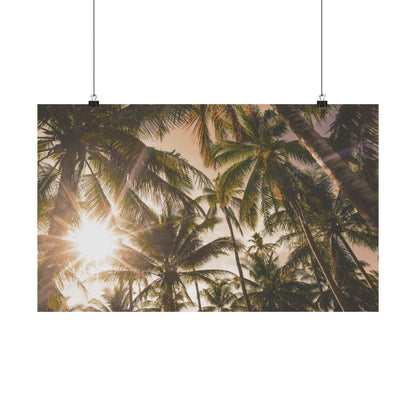 Palm Trees, Matte Horizontal Poster