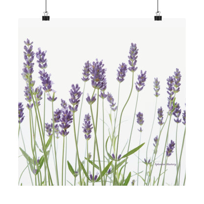 Floral, Matte Poster