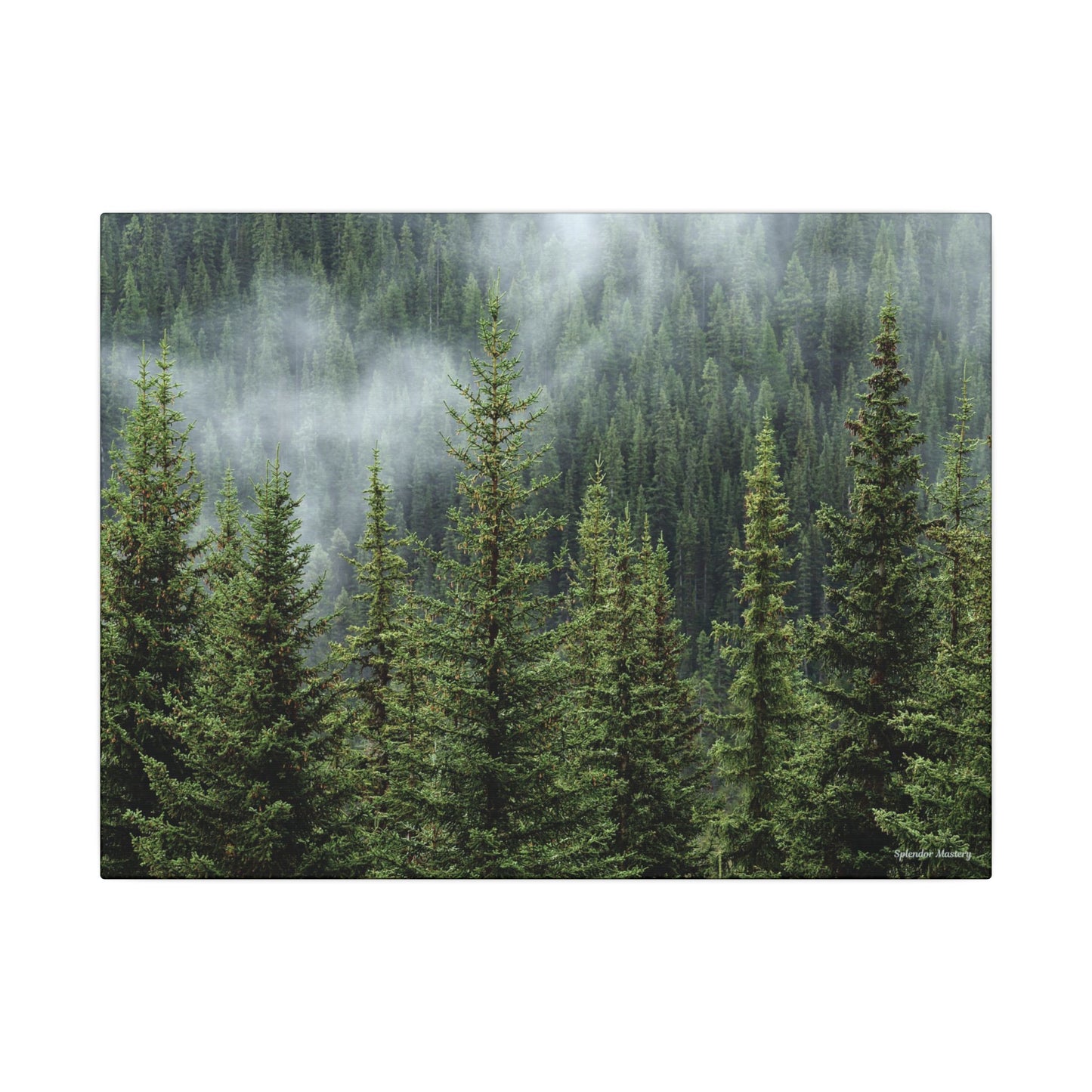 Trees, Matte Canvas, Stretched, 0.75"