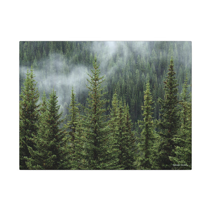 Trees, Matte Canvas, Stretched, 0.75"