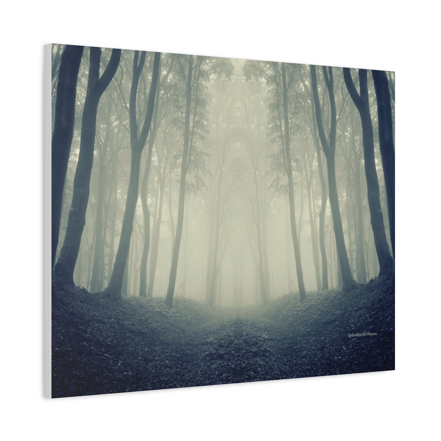 Forest, Matte Canvas, Stretched, 1.25"