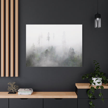 Forest, Matte Canvas, Stretched, 1.25"