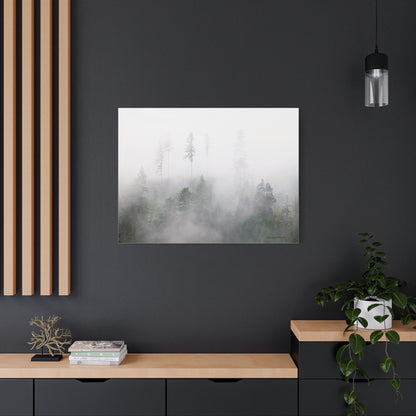 Forest, Matte Canvas, Stretched, 1.25"