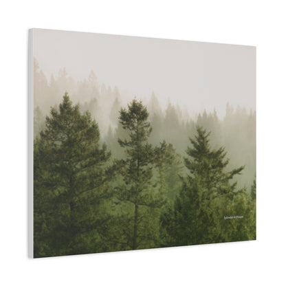 Forest, Matte Canvas, Stretched, 1.25"