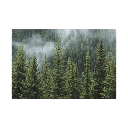 Trees, Matte Canvas, Stretched, 0.75"