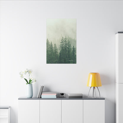 Forest Trees, Matte Canvas, Stretched, 0.75"