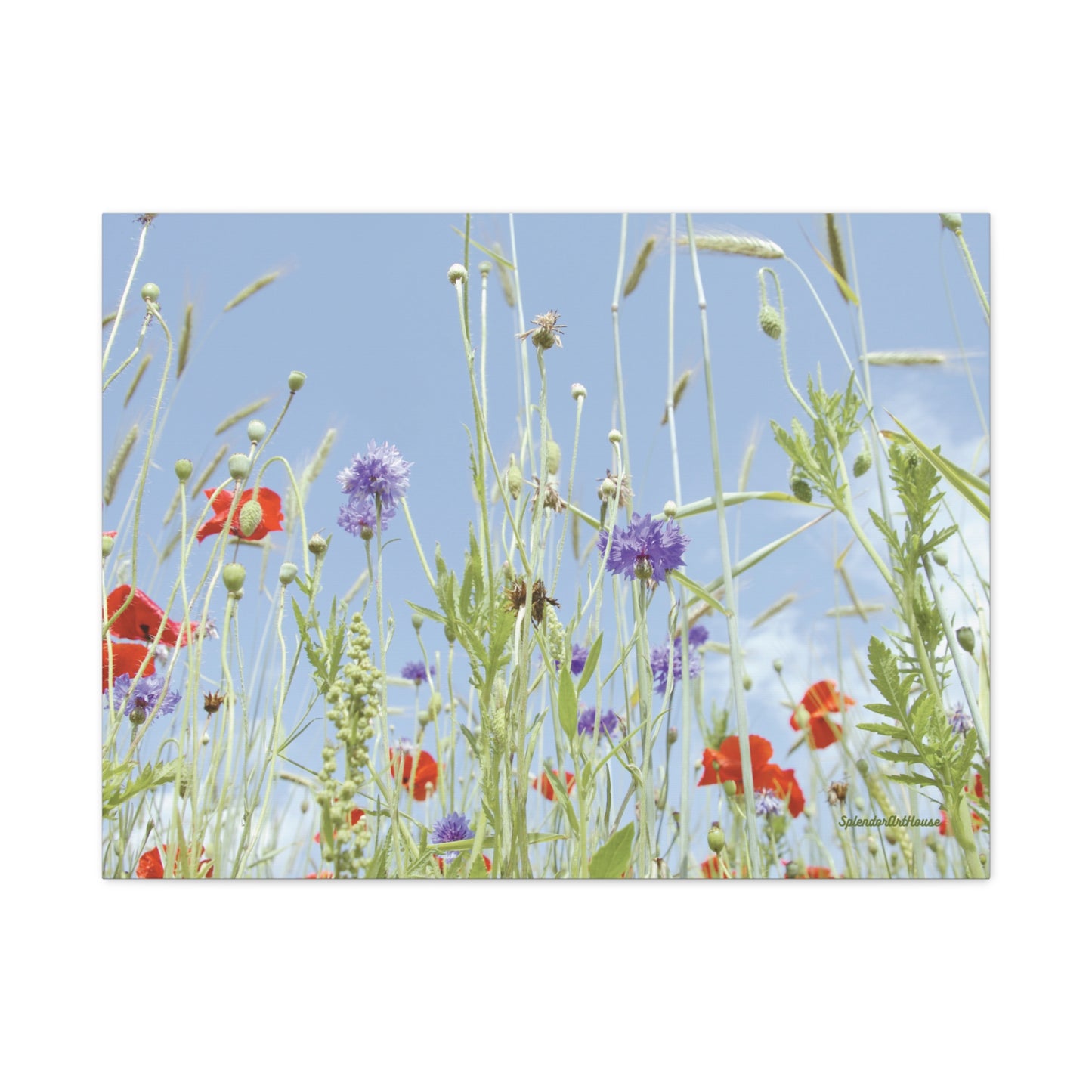 Floral, Matte Canvas, Stretched, 1.25"