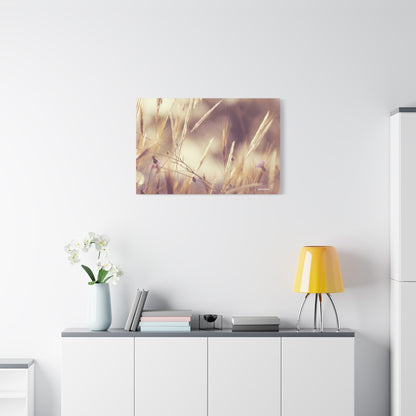 Grass, Matte Canvas, Stretched, 1.25"