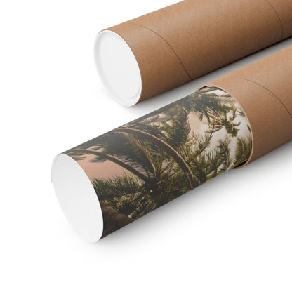 Palm Trees, Matte Horizontal Poster