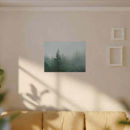 Forest Trees, Matte Canvas, Stretched, 0.75"