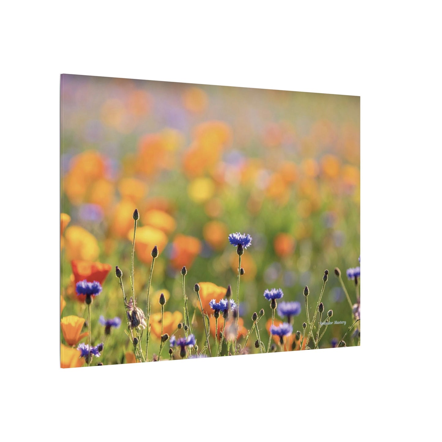 Floral, Matte Canvas, Stretched, 0.75"