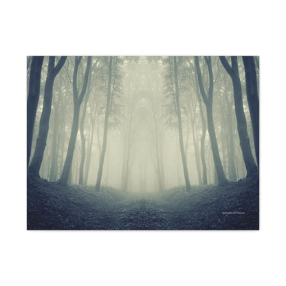 Forest, Matte Canvas, Stretched, 1.25"