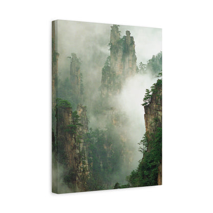 Forest, Matte Canvas, Stretched, 1.25"