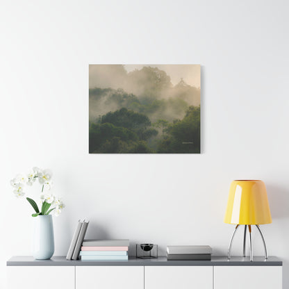 Forest, Matte Canvas, Stretched, 1.25"