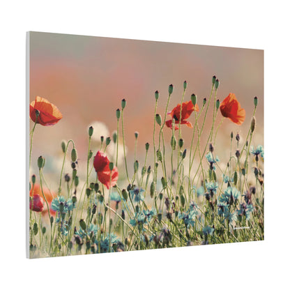 Floral, Matte Canvas, Stretched, 1.25"