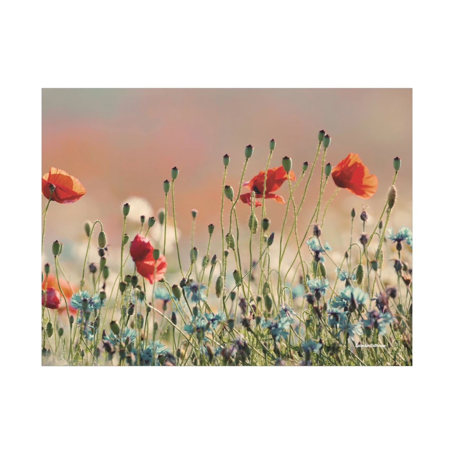 Floral, Matte Canvas, Stretched, 1.25"
