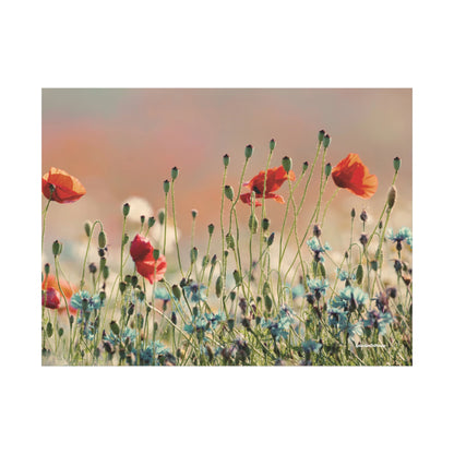 Floral, Matte Canvas, Stretched, 1.25"